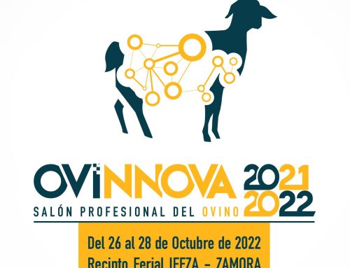OvinNova salón profesional del Ovino 2021-2022